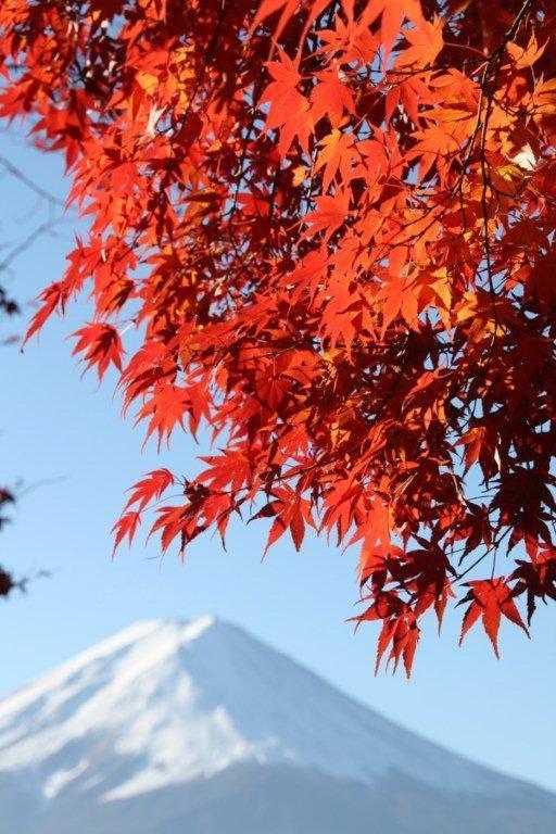 御師の家　梅谷（Umeya） Villa Fujikawaguchiko Buitenkant foto