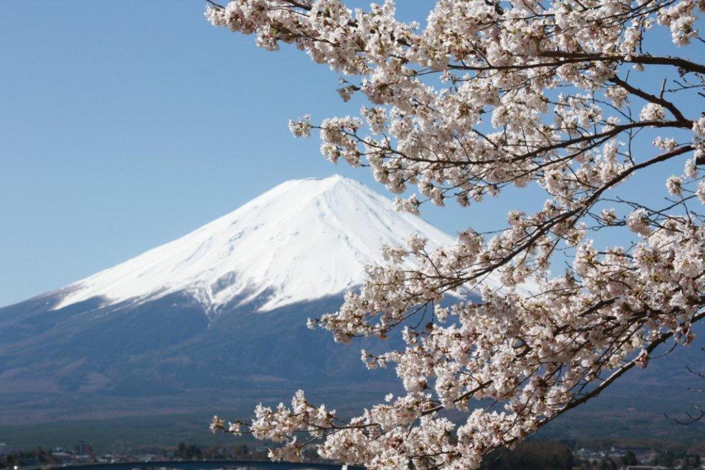 御師の家　梅谷（Umeya） Villa Fujikawaguchiko Buitenkant foto